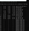 tracert
